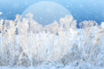 blurred winter background with a circle for the text of nature