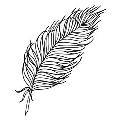 Obraz premium Monochrome black and white bird feather vector sketched art