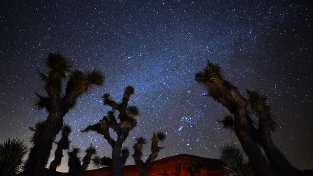Astro Time Lapse of Constellation Orion Setting over Joshua Tree -Pan Left-