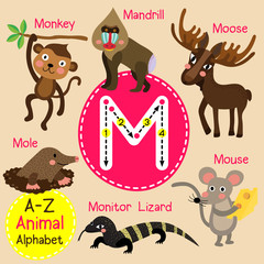 M letter tracing. Monkey. Mouse. Mole. Monitor Lizard. Mandrill. Cute children zoo alphabet flash card. Funny cartoon animal. Kids abc education. Learning English vocabulary. Vector illustration.