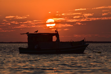 Fishing boat on sea at sunset, silhouette. A seagull standing on the boat. 