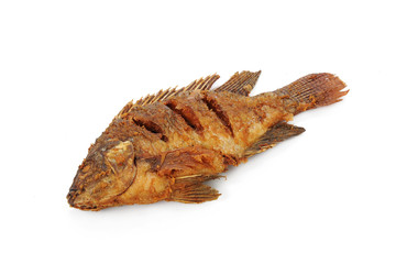 Fried Tilapia fish fried isolated on white background