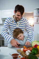 Father teaching his son how to chop vegetables