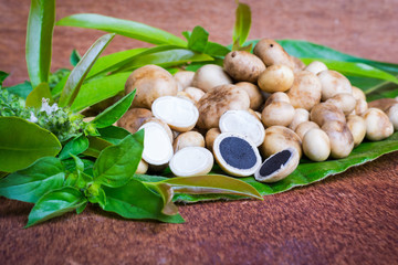 Puffball Mushroom or Basa mushrooms on green leaf (Dipterocarpus