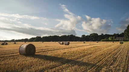 Foto op Plexiglas Beautiful countryside landscape image of hay bales in Summer fie © veneratio
