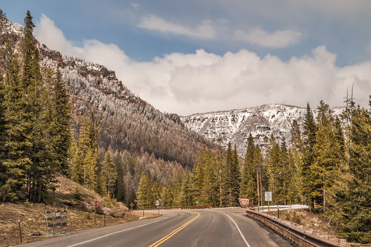 Shoshone National Forest