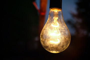 Bulb light 