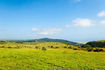 Highlands of Salalah, Dhofar, Sultanate of Oman