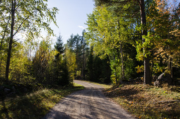 Winding colorful country road