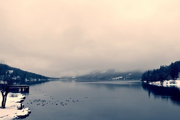 Winter landscape on the lake shore in black and white, on a cloudy, foggy day. Monochrome image filtered in retro, vintage style with soft focus and red filter. Lake Bohinj, Slovenia - 123013789