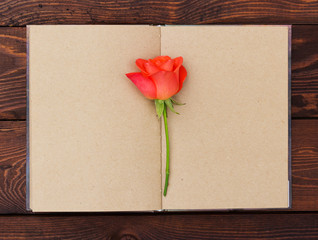 Opened vintage book with blank pages and fragrant rose. Open diary with blank pages and a fragrant rose. Copy space. 