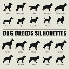 Dog breeds vector silhouettes set