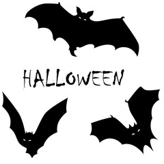 halloween bat vector
