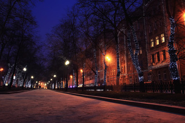 Fototapeta na wymiar Night winter landscape in amazing city