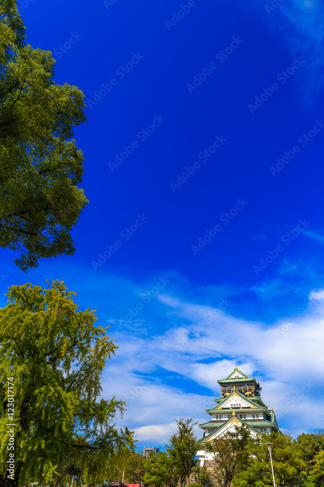 Wall mural 大阪城 青空