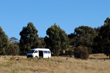 White tiny small van coach explore dried forest in sunny blue sky day