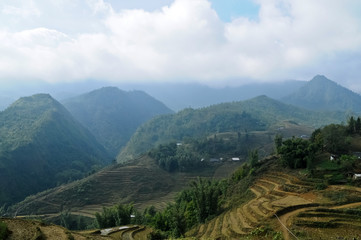 Fototapeta na wymiar High greenery mountain hills with horticulture rice farming in Northern Viet Nam Lao Kai region