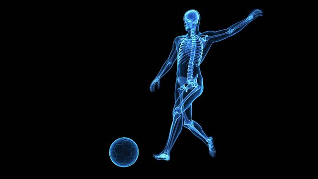 Human skeleton kicking football