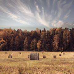 autumn landscape nature field and sky