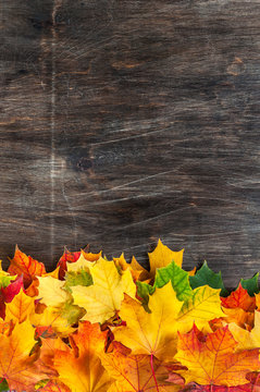 Colorful leaves on wood background.