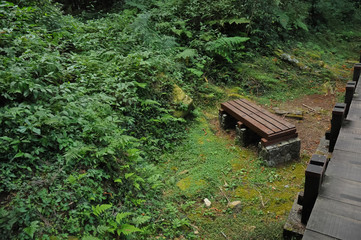 Peaceful time to rest on a bench in scenic natural park