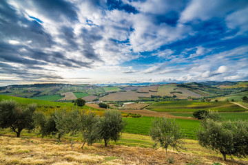 Fototapeta na wymiar rural view of Italian countryside
