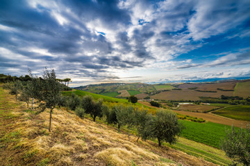 Fototapeta na wymiar rural view of Italian countryside