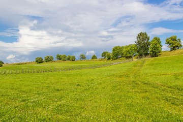 Summer rural landscape
