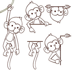 Monkey