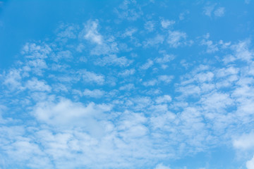 Fototapeta premium 季節雲