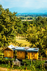 Fototapeta premium Greek colorful and beautiful country
