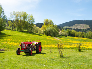 Fototapeta premium Antique tractor