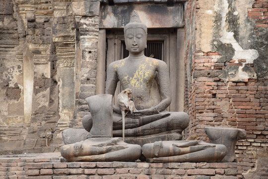 Lopburi, Thailand - July 25, 2015 : Monkeys on the Buddha statue lap