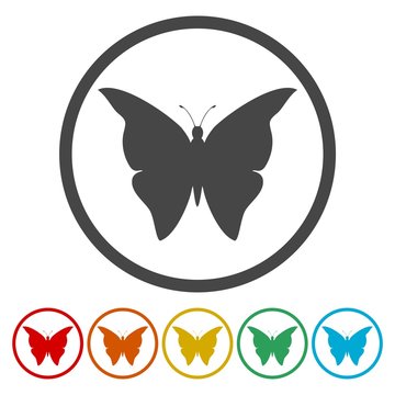 Set of butterflies silhouette icon
