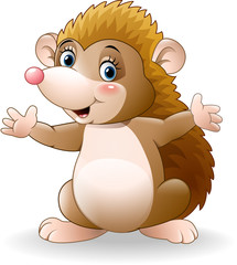 Cute hedgehog cartoon © ekyaky