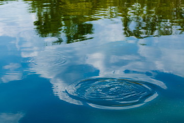 Green tree and blue sky vibrant color reflection in the water with wave