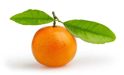 Tangerine isolated on white background with clipping path
