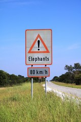 Caution Elephants! - Top speed 80 km / h