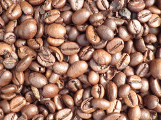 Coffee Bean Background Texture