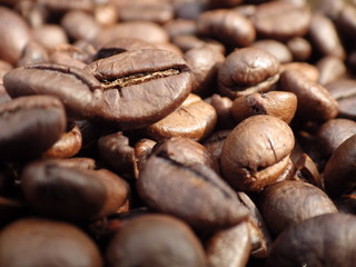 Naklejka premium Coffee Bean Background Texture