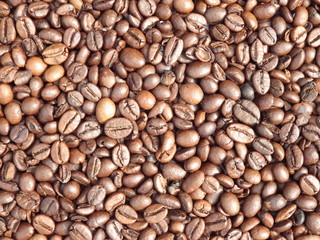 Coffee Bean Background Texture