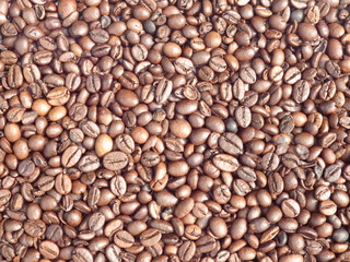 Coffee Bean Background Texture