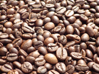 Coffee Bean Background Texture
