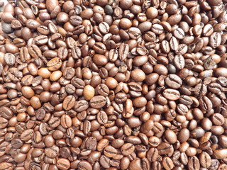 Coffee Bean Background Texture