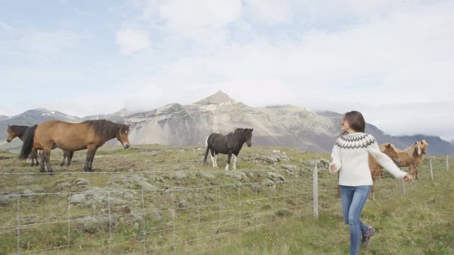 Iceland travel concept - Icelandic horses and girl. Woman in sweater running joyful and cheerful going horseback riding smiling in beautiful nature on Iceland. RED EPIC 90 FPS.