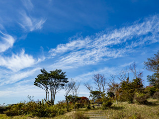 くじゅう連山　久住山　紅葉