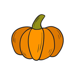 Vector cartoon orange pumpkin