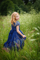 Portrait of beautiful little girl in the blue dress on the nature