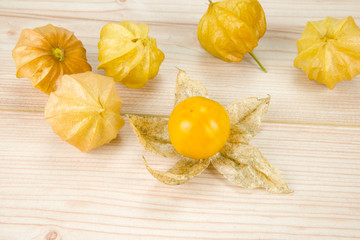 Physalis - Andenbeere - Kapstachelbeere 