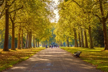 Fotobehang Herfst Met bomen omzoomde straat in Hyde Park London, herfstseizoen
